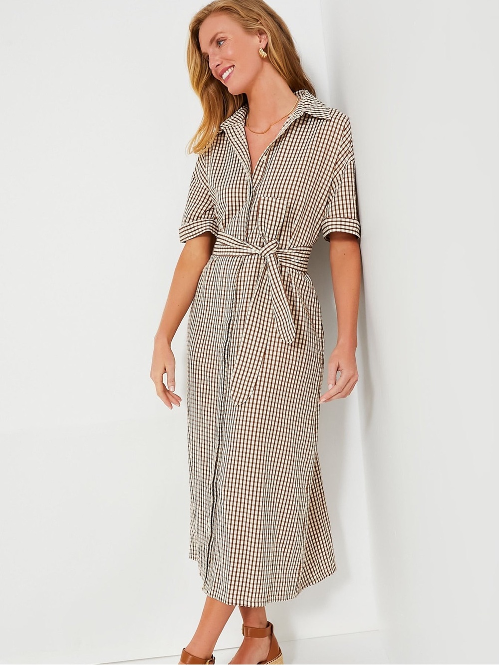 Pomander Place Zacara Brown Gingham Seersucker Dress - small